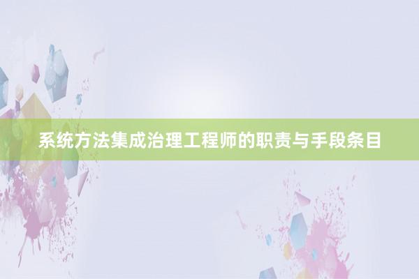 系统方法集成治理工程师的职责与手段条目