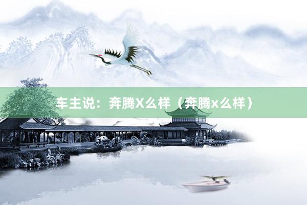 车主说：奔腾X么样（奔腾x么样）
